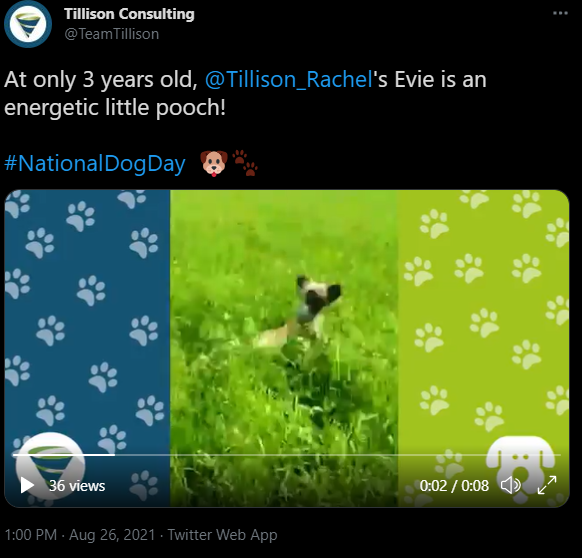 Video post on Twitter example