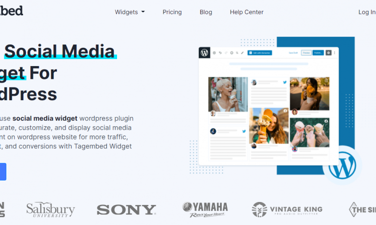 Social Media Feed by Tagembed