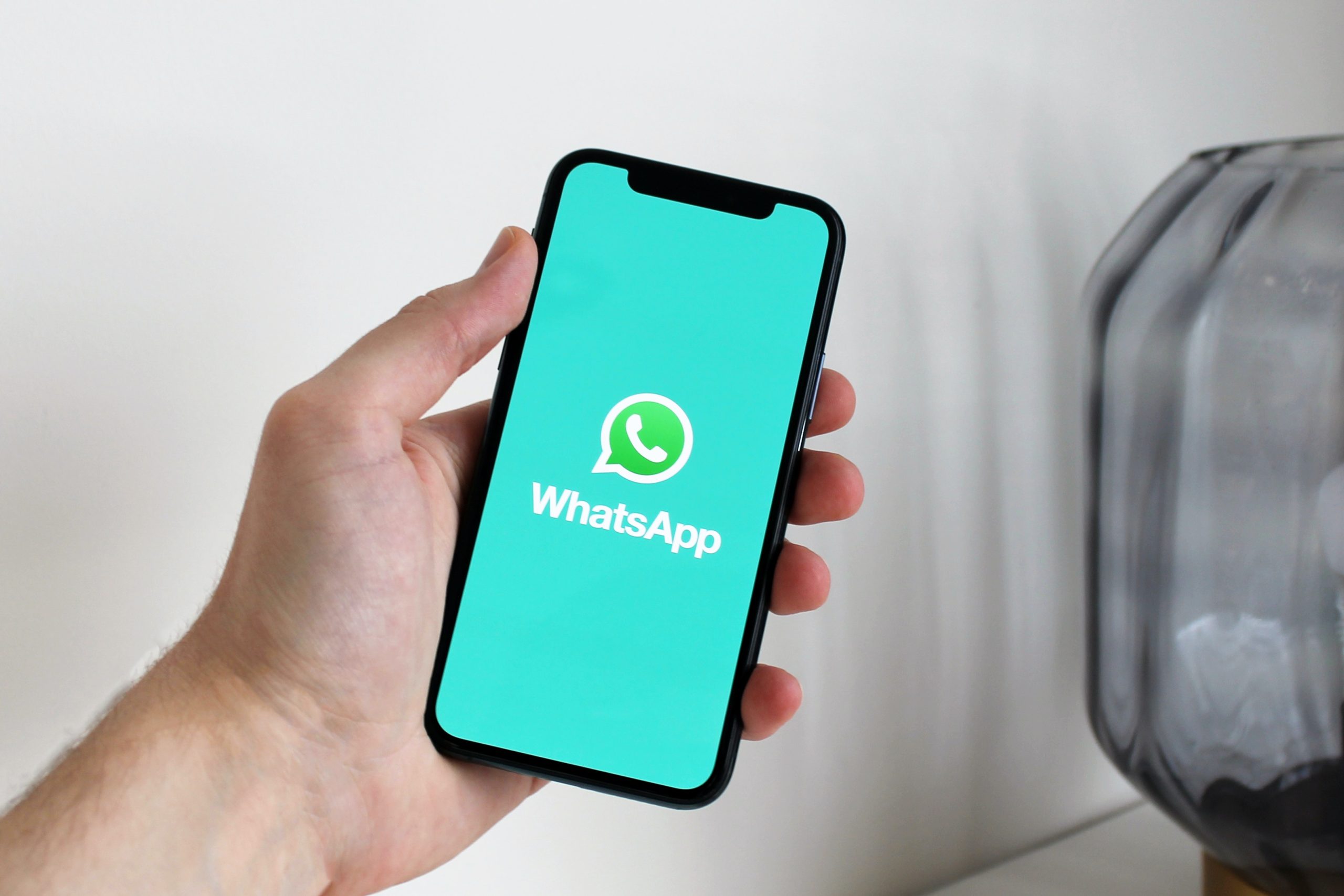 whatsapp connection phone