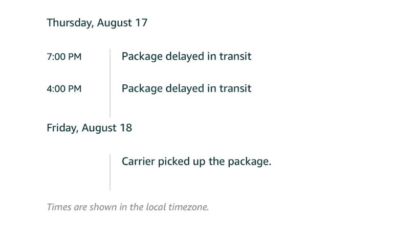 What Does "Delayed in Transit" Mean?