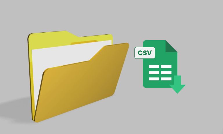 What is a CSV File?