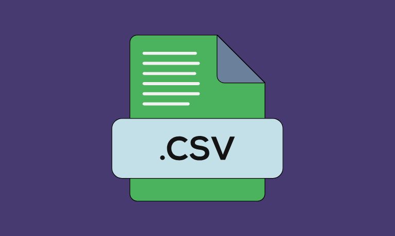 What is a CSV File?