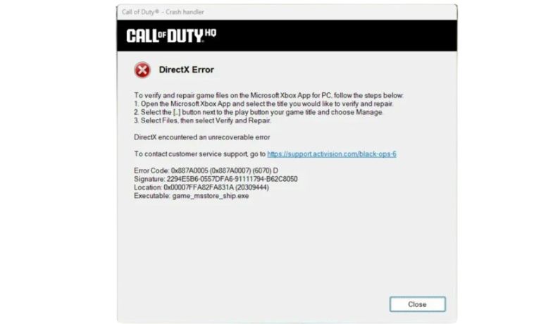 What is a DirectX Error in Black Ops 6?