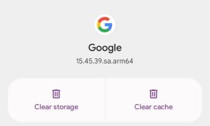 Clear Google App Cache and Data