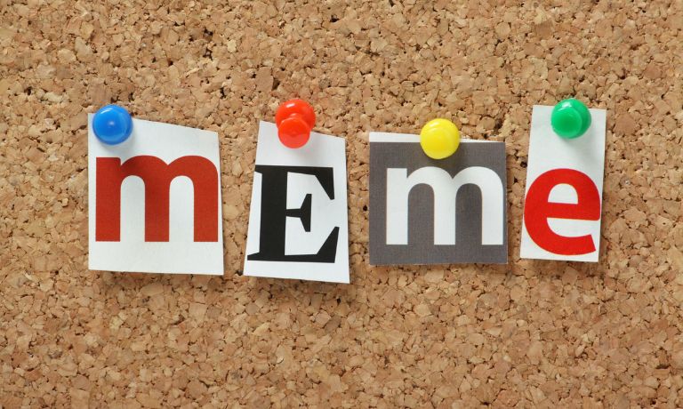 What Is a Meme
